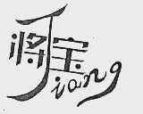 将宝  JIANG