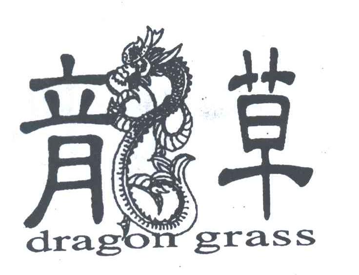 龙草