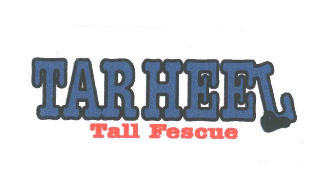 TARHEEL