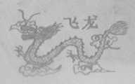 飞龙