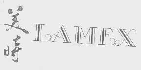 美时   LAMEX