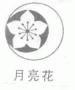 月亮花