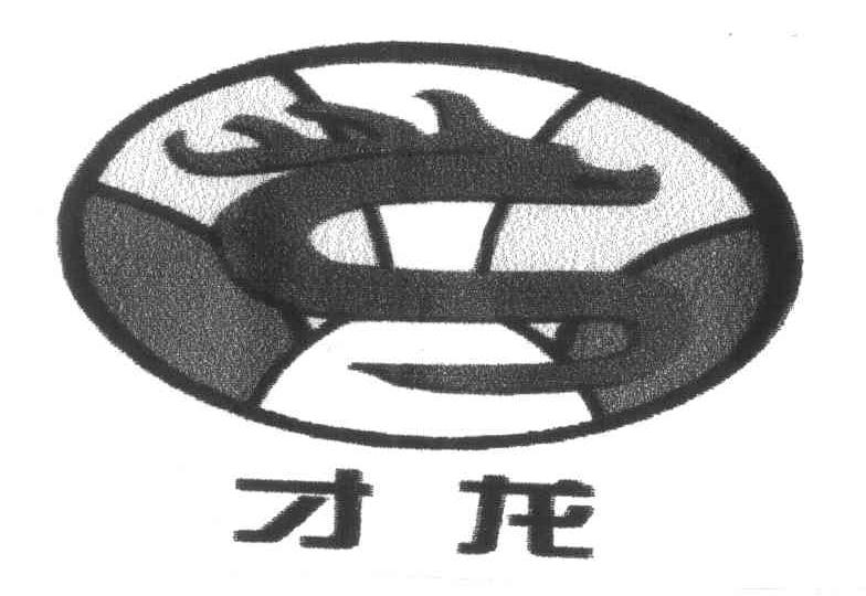 才龙