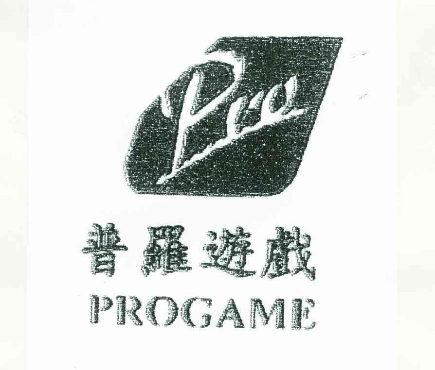 普罗游戏;PRO;PROGAME