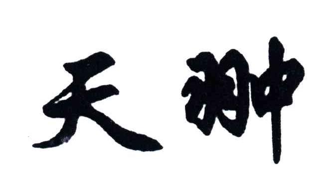 天翀