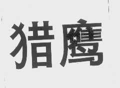 猎鹰