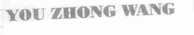 YOU ZHONG WANG