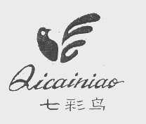 七彩鸟