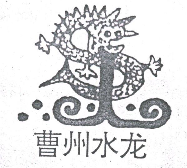 曹州水龙