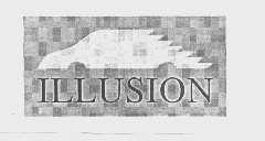 ILLUSION
