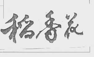 稻香花