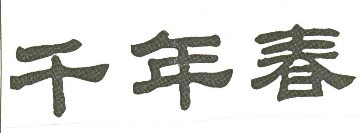 千年春