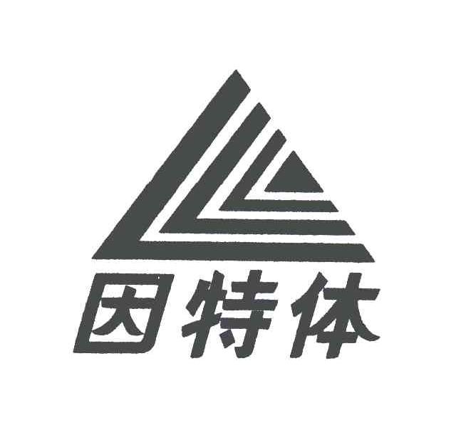 因特体