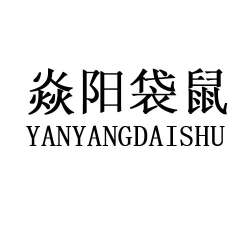焱阳袋鼠