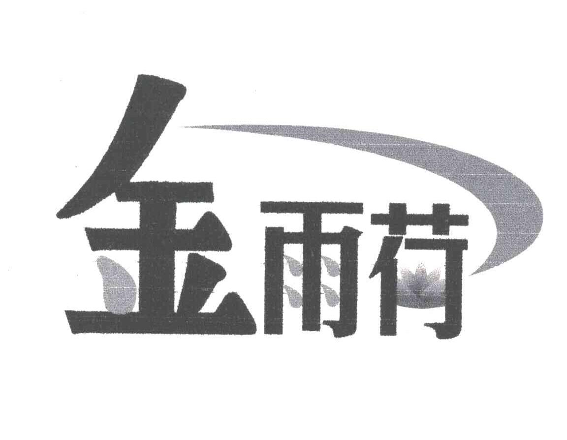 金雨荷