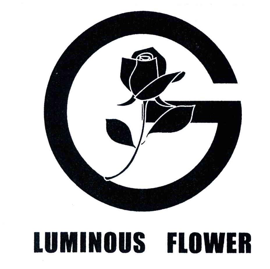LUMINOUS FLOWER