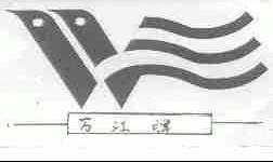 万江