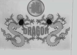 龙   DRAGON