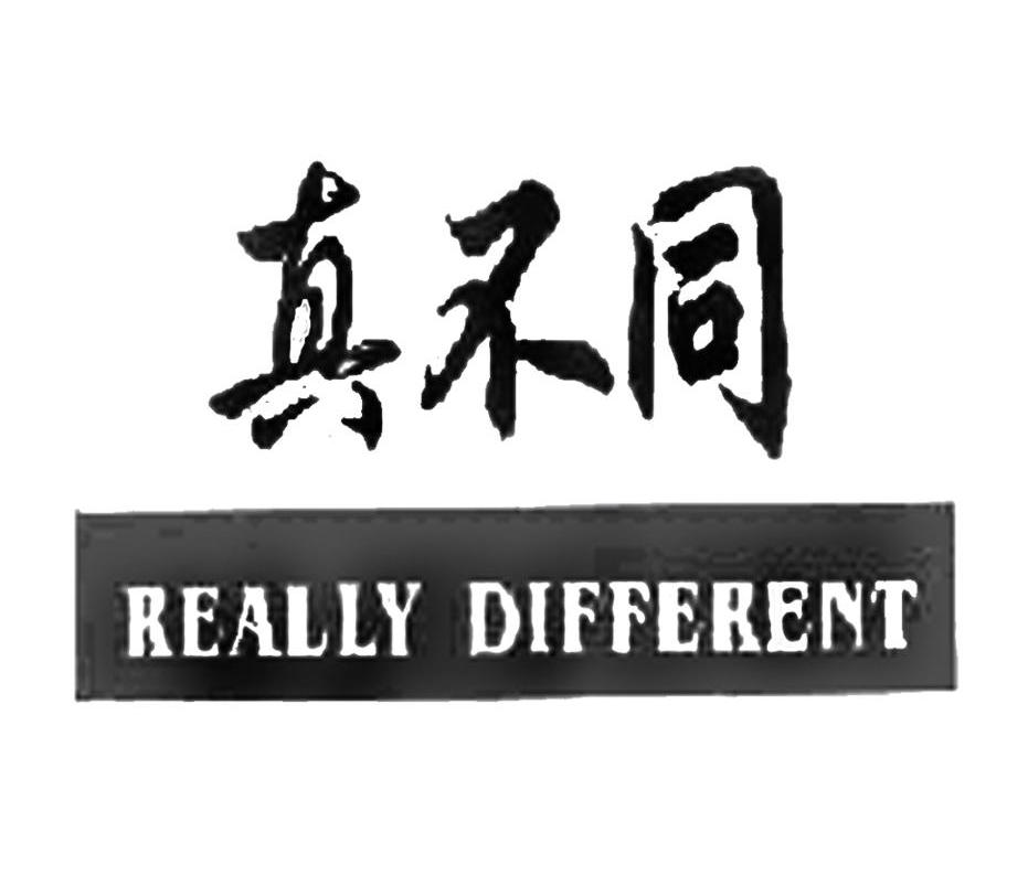 真不同 REALLY DIFFERENT