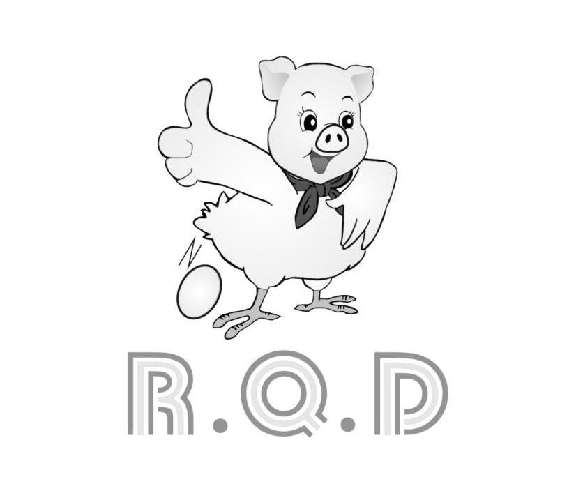 RQD