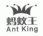 蚂蚁王;ANT KING