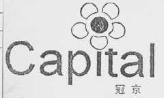 冠京  CAPITAL