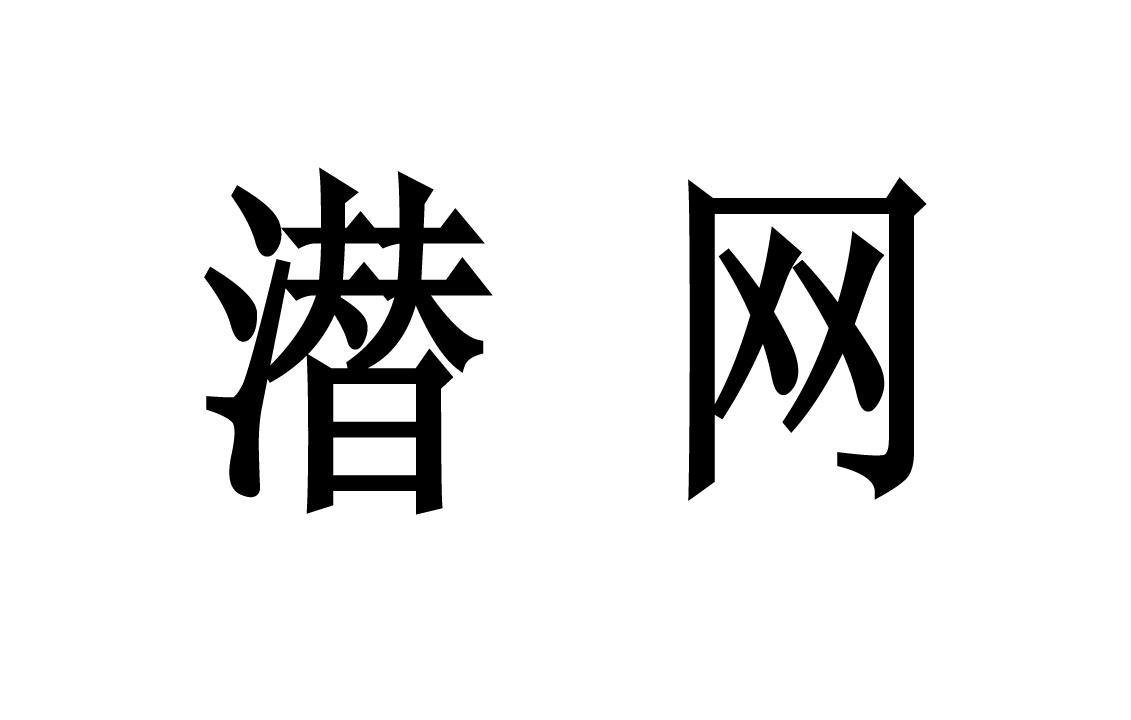 潜网