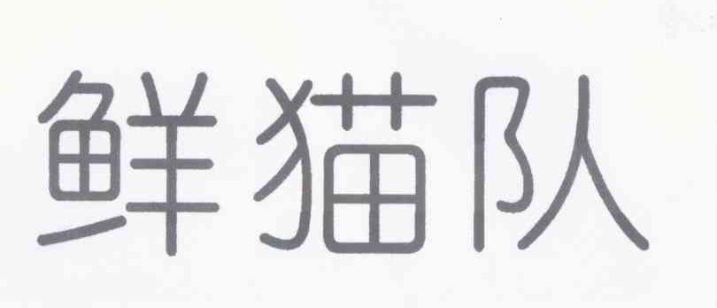 鲜猫队