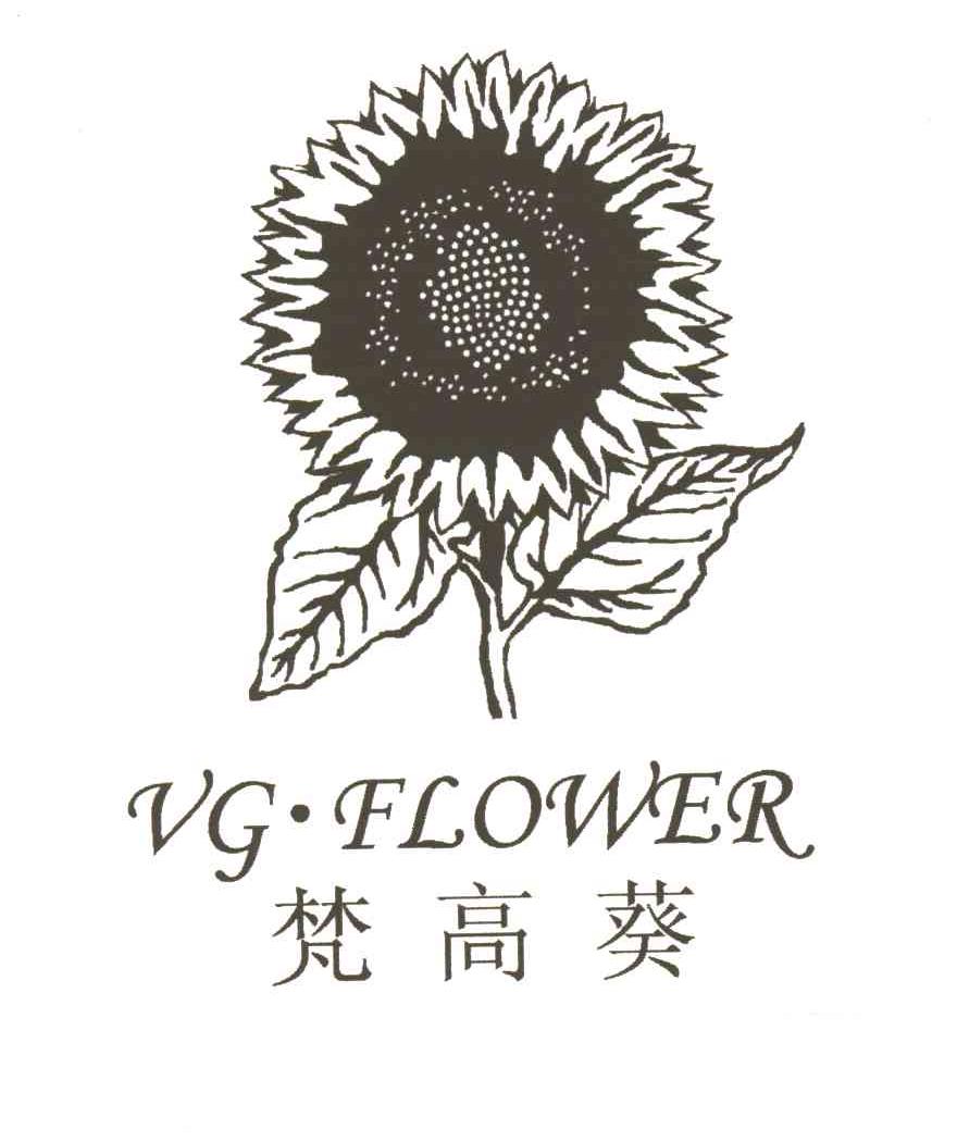 梵高葵;VGFLOWER