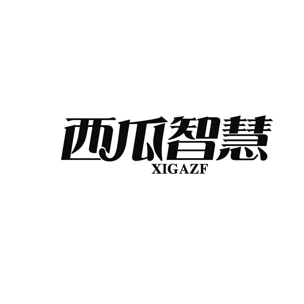 西瓜智慧 XIGAZF