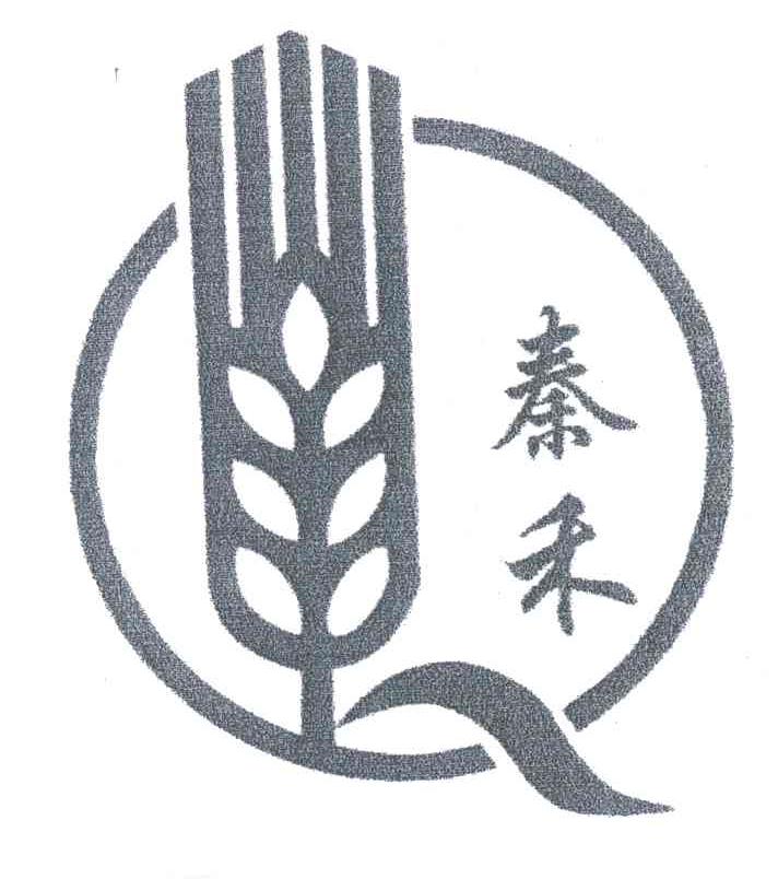 秦禾