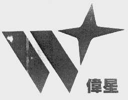 伟星