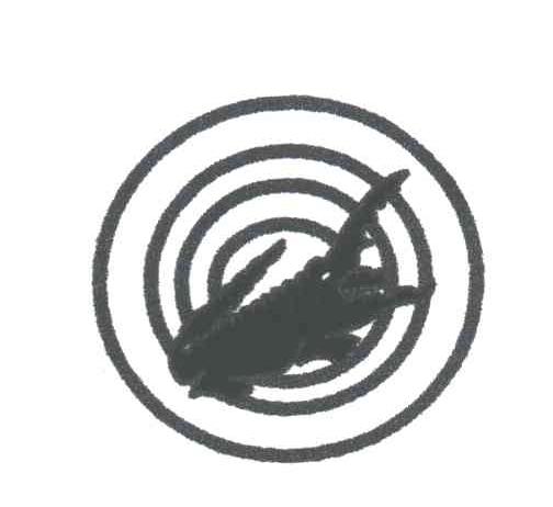 图形
