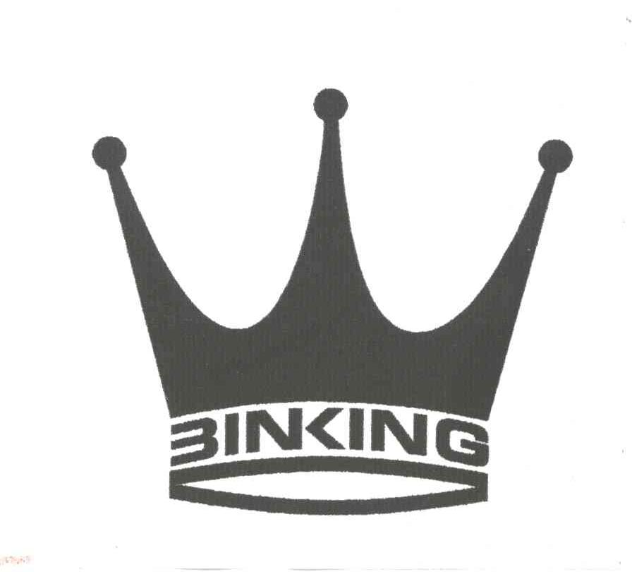 BINKING及图