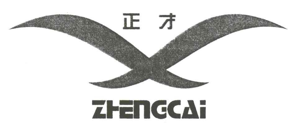 正才
