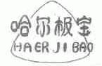 哈尔极宝