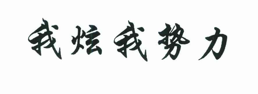 我炫我势力