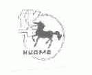 华;HUAMA