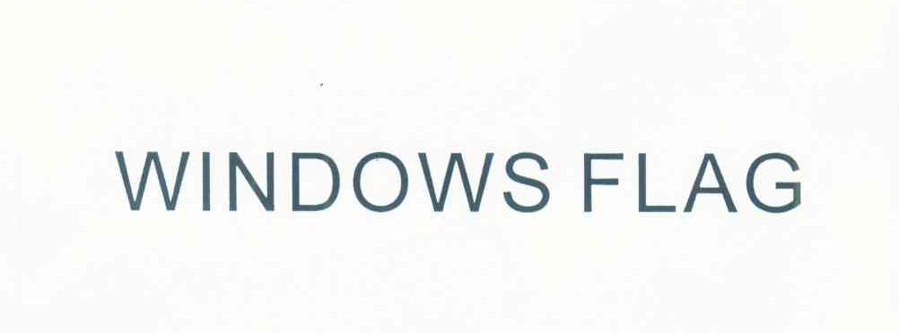 WINDOWS FLAG