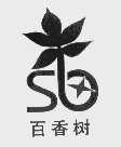 百香树