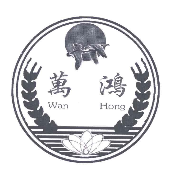 万鸿