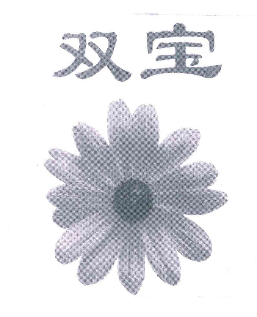 双宝