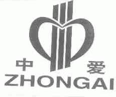 中爱