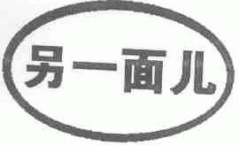 另一面儿
