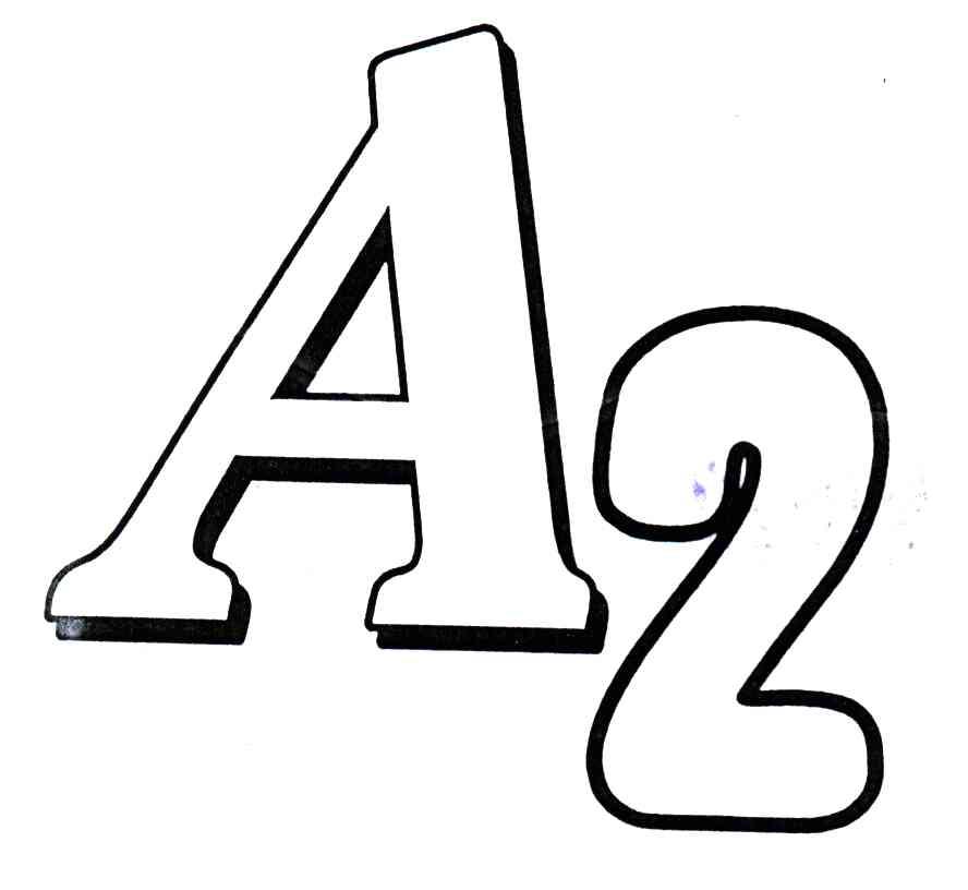 A;2