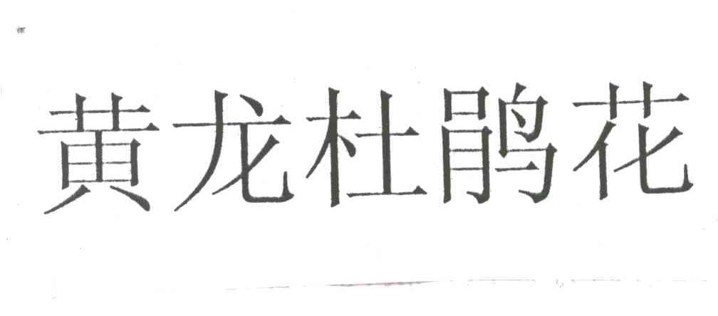 黄龙杜鹃花