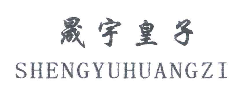 晟宇皇子