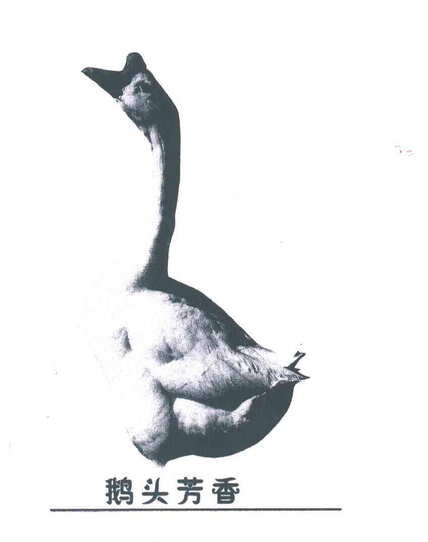 鹅头芳香
