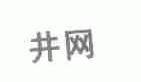 井网