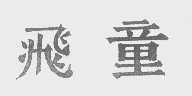 飞童